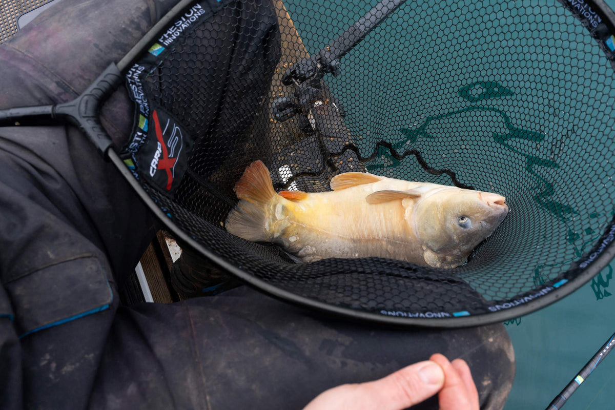 Carp XS Landing Nets