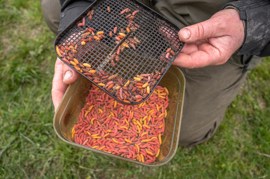 Korum maggot tub and riddle