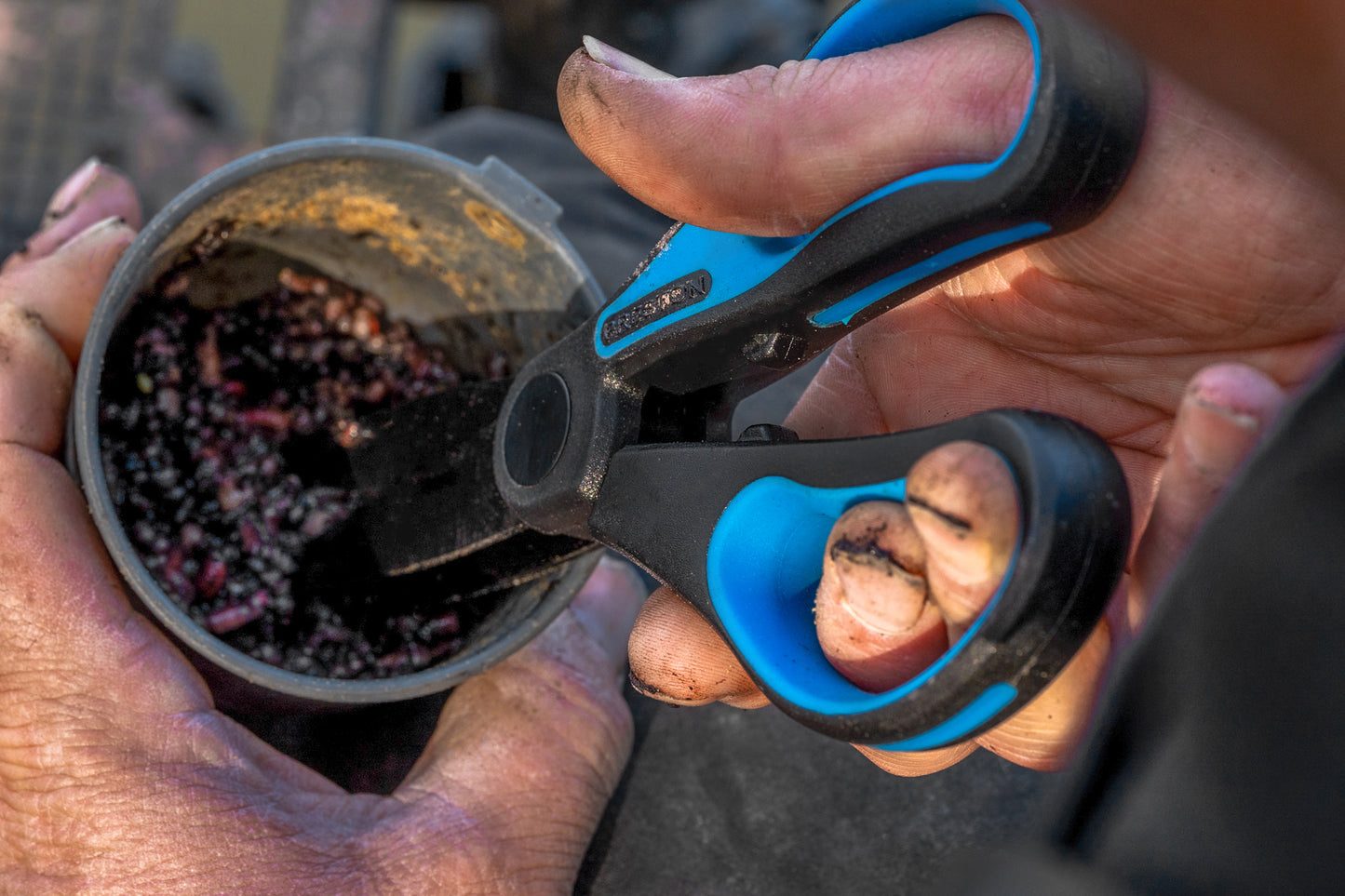 Preston worm scissors