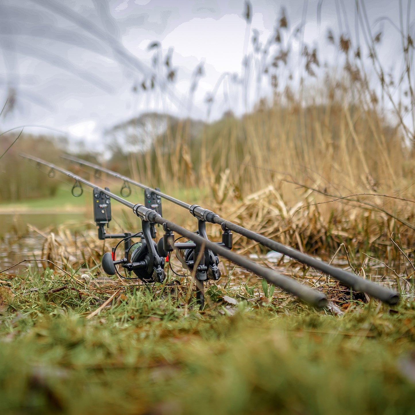 Avid lok down 2 rod buzz bar