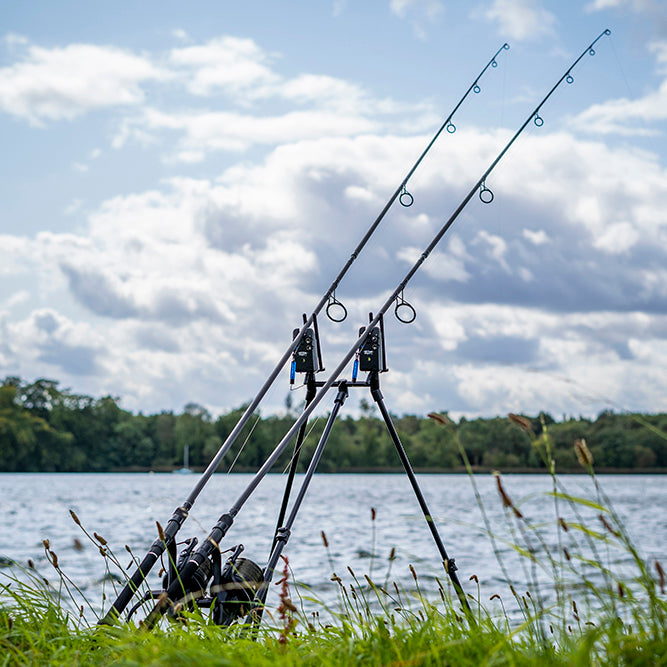 Avid lok down buzz pods