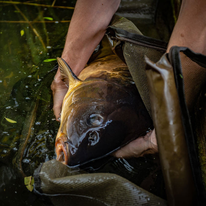 Korum compact recovery sling