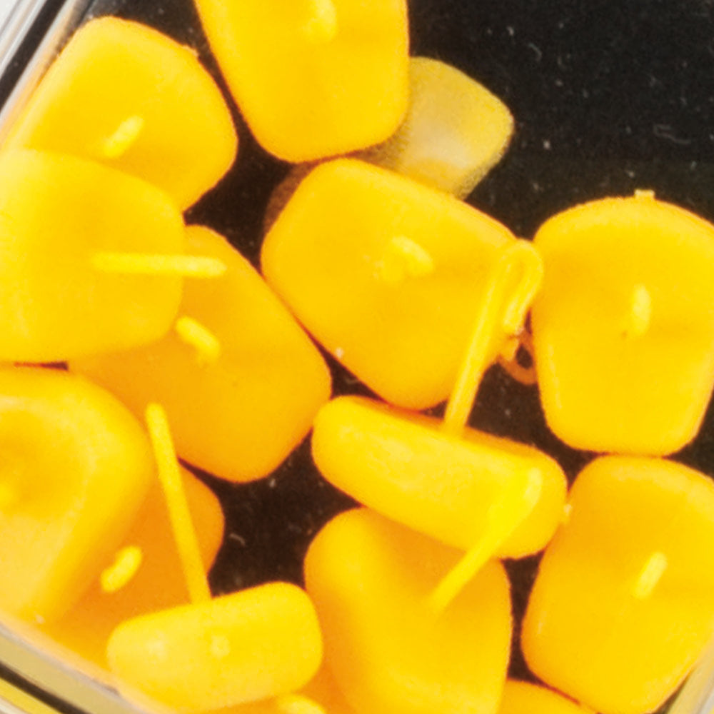 Avid Maize Stops Floating