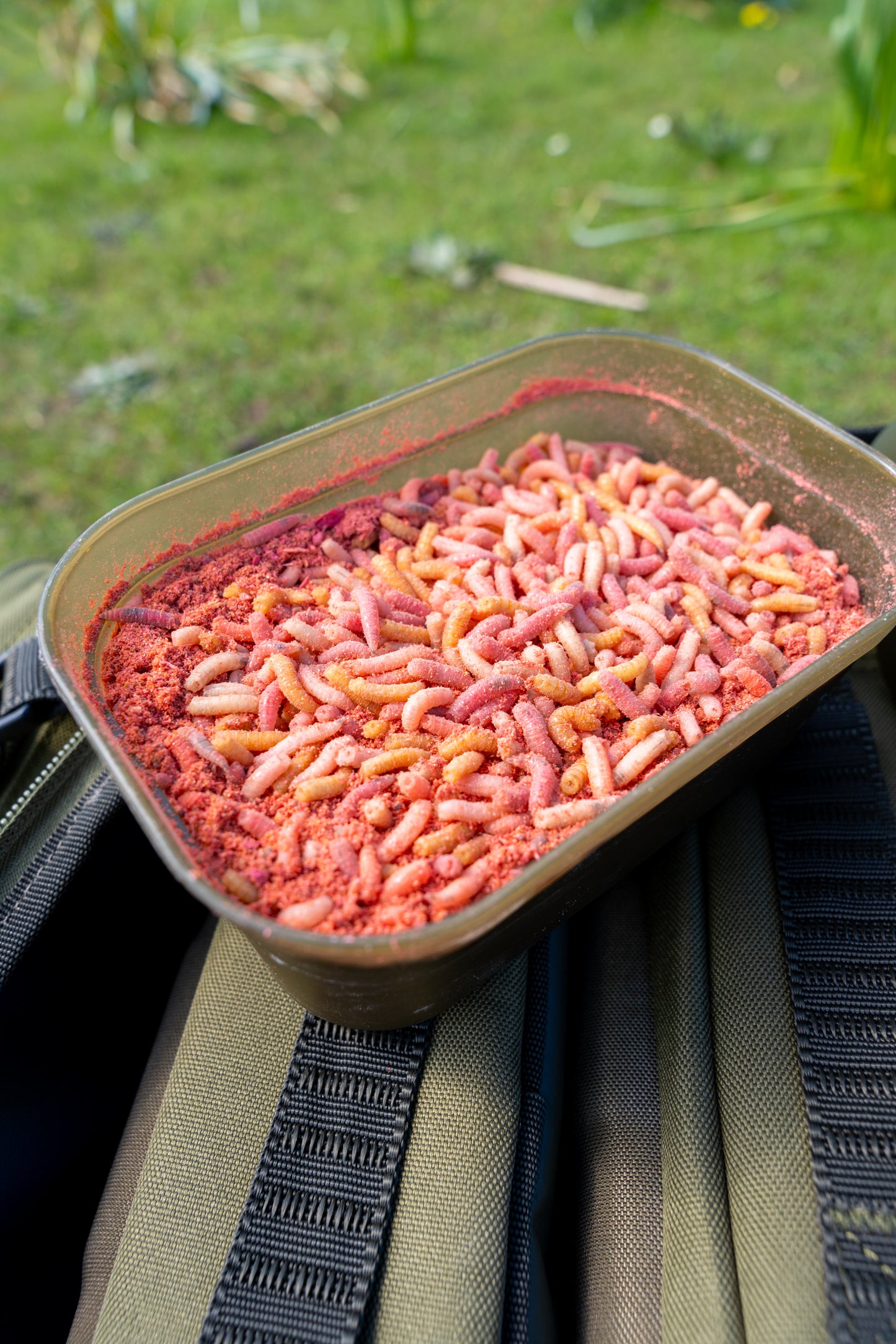 Maggot Bait Tub