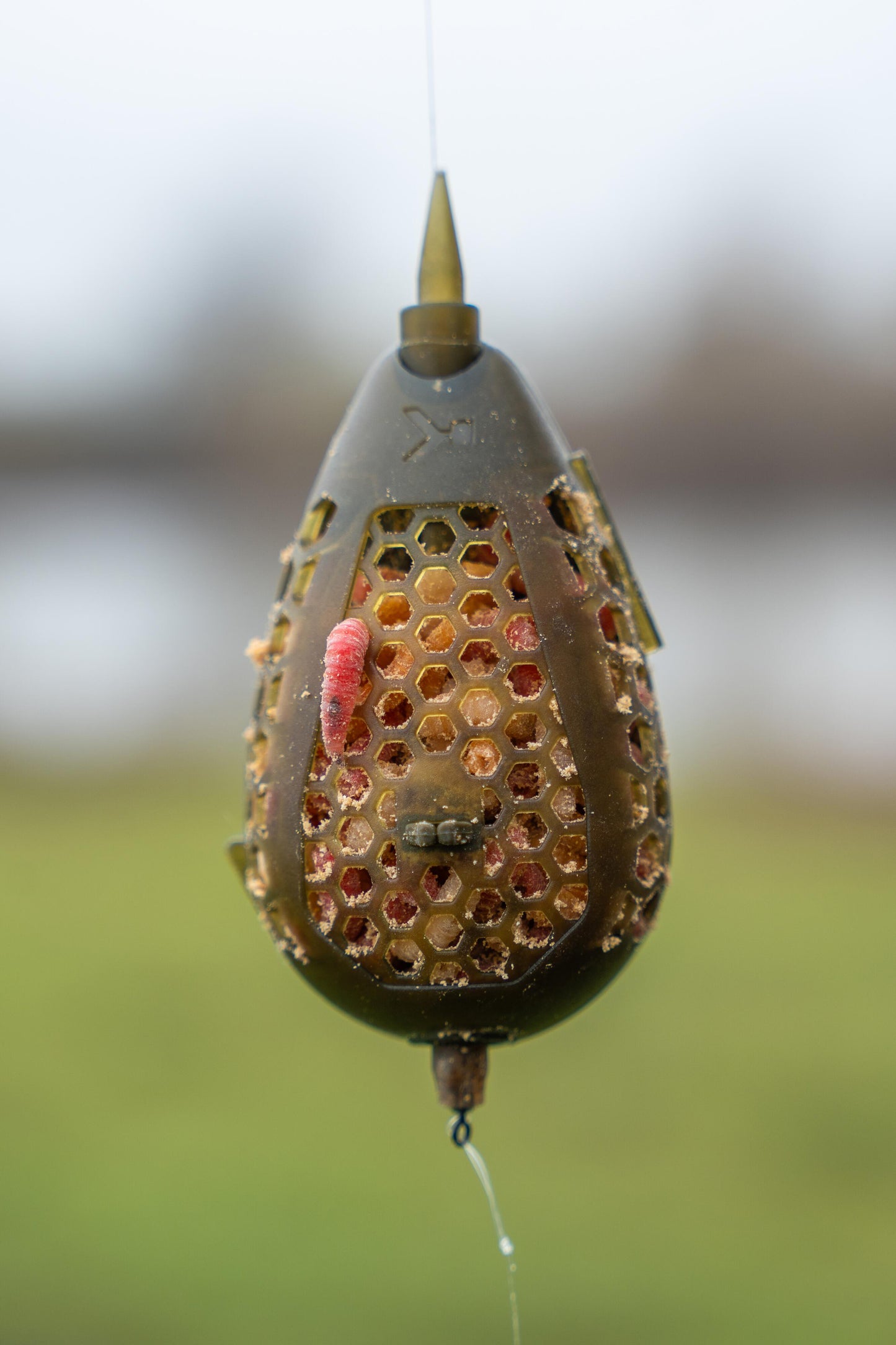 Camo Grub Feeder