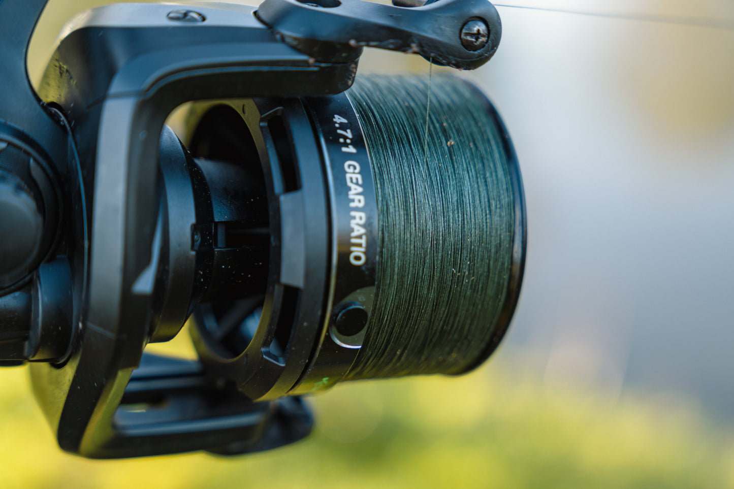 Limitless Sinking Feeder Braid