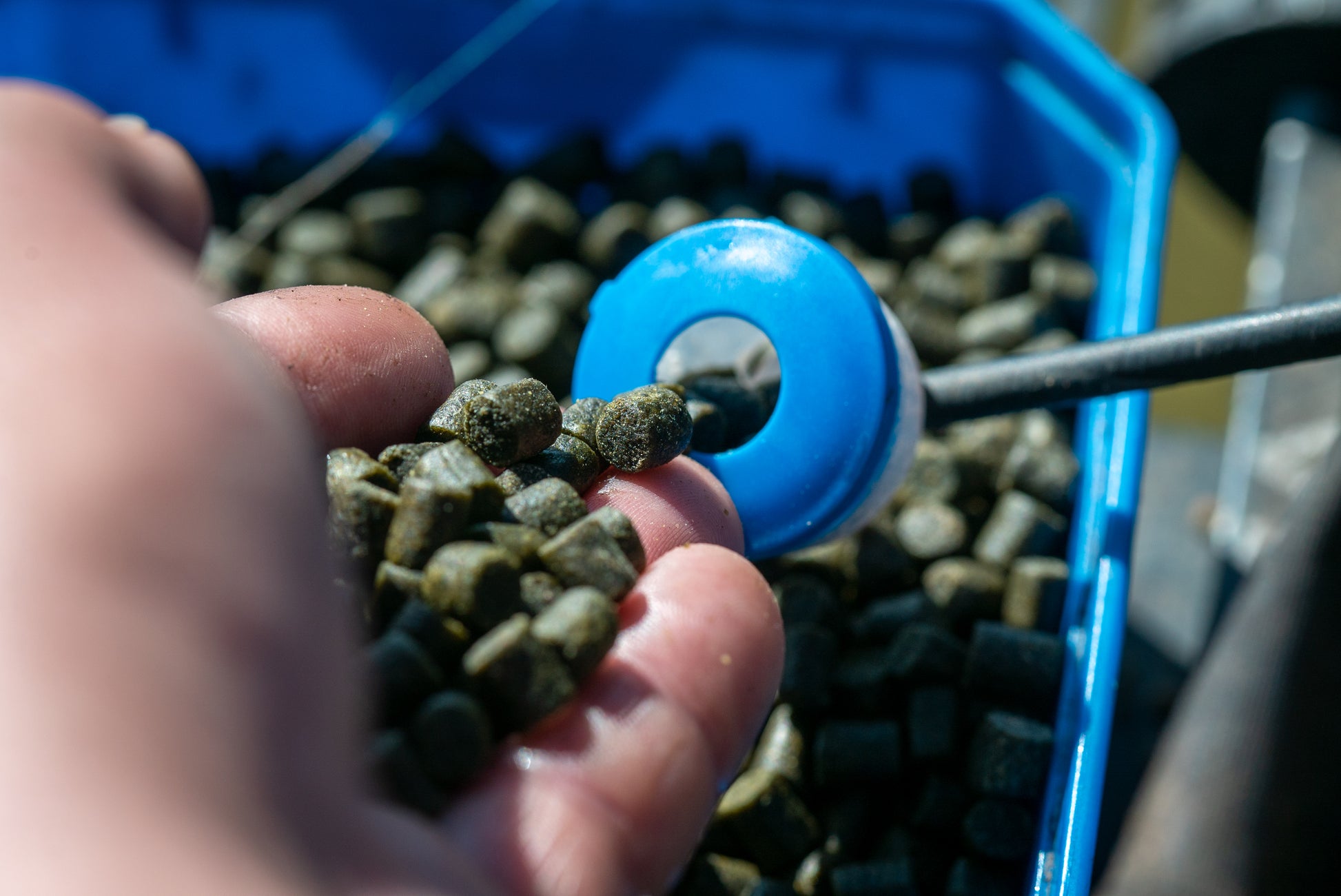 Marine Green Feed Pellets