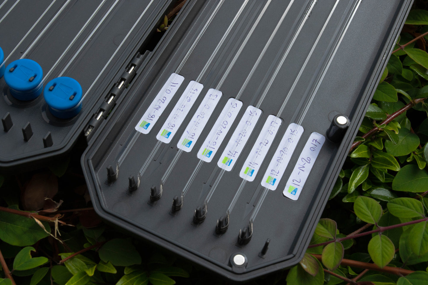 Absolute Hooklength Box