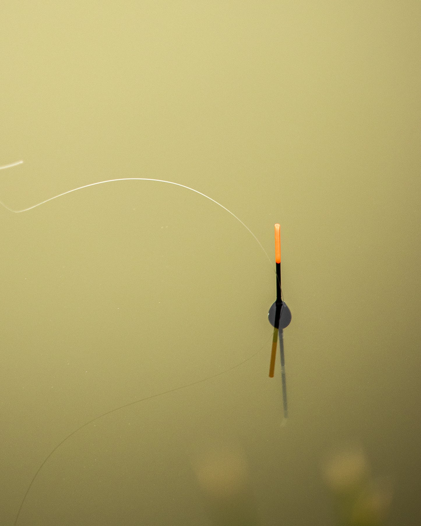 Olive Pole Float