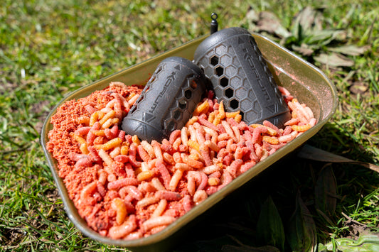 Maggot Bait Tub