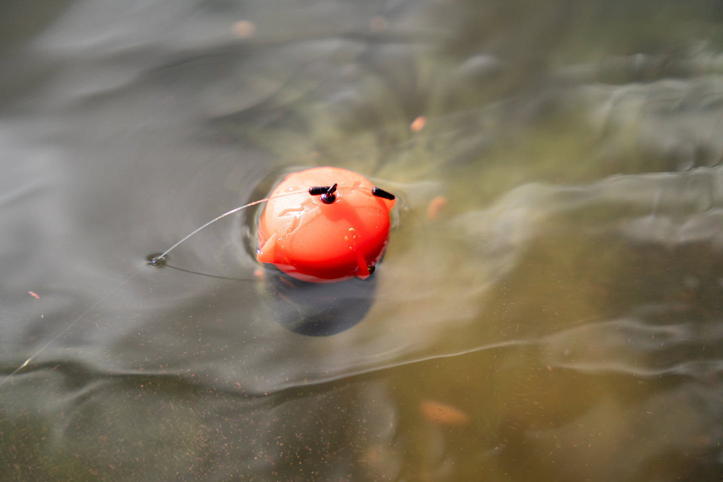 Floating Feeder