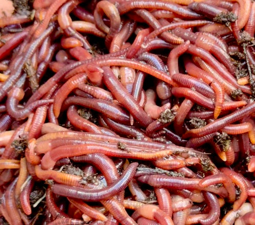 Dyngmask, ett matchpack