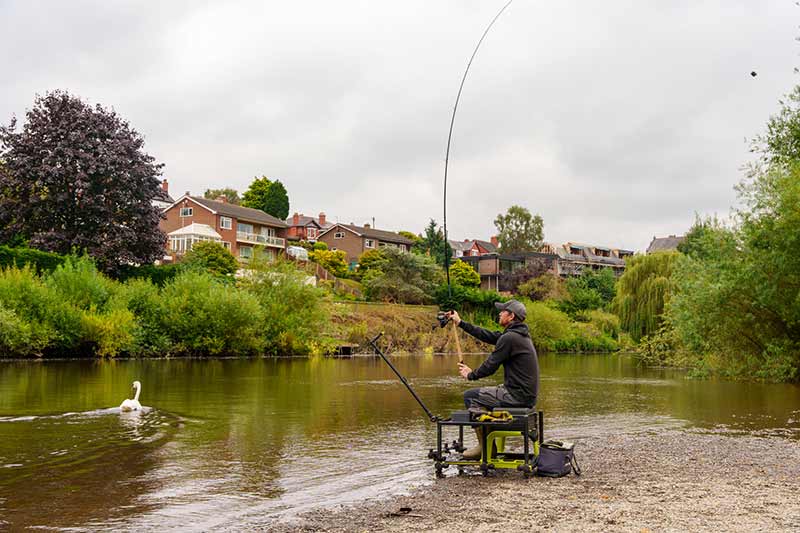 Aquos Ultra D Feeder Rods