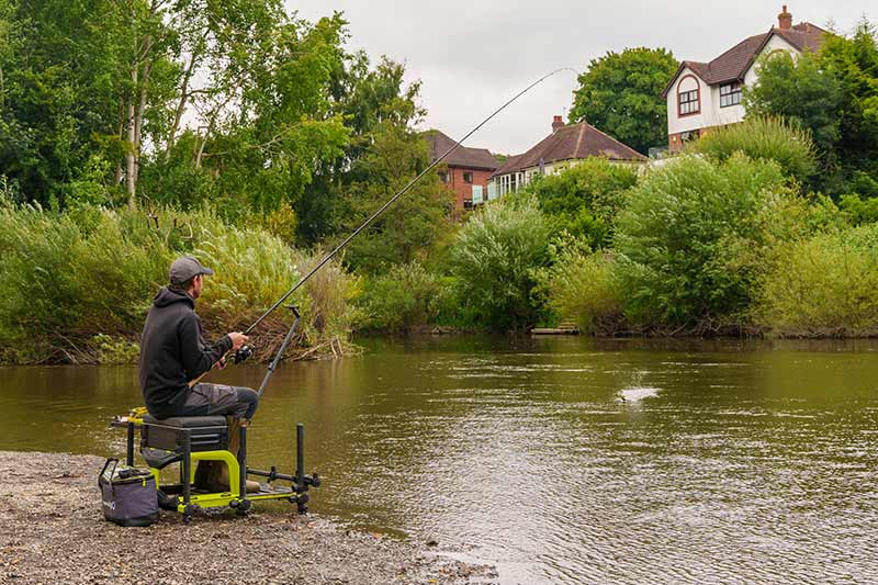 Aquos Ultra D Feeder Rods