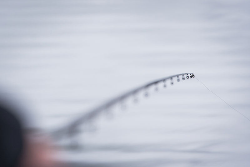 Horizon Pro 13ft Waggler