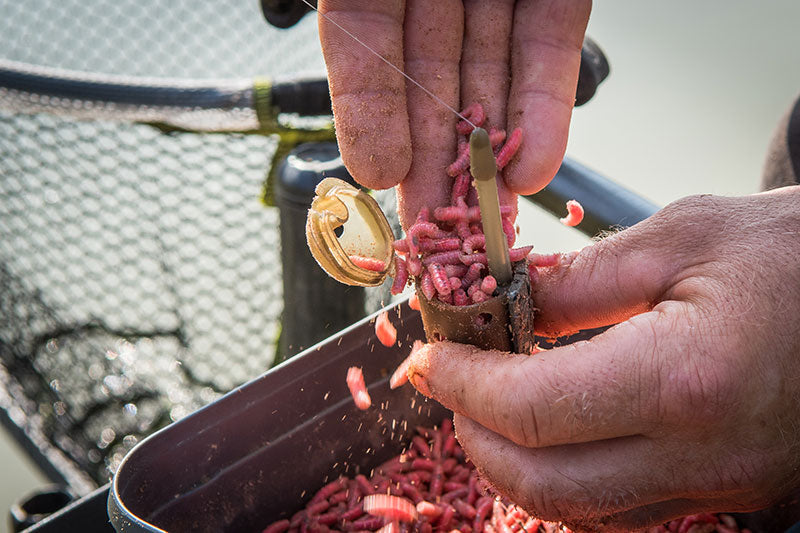 Inline Maggot Feeders