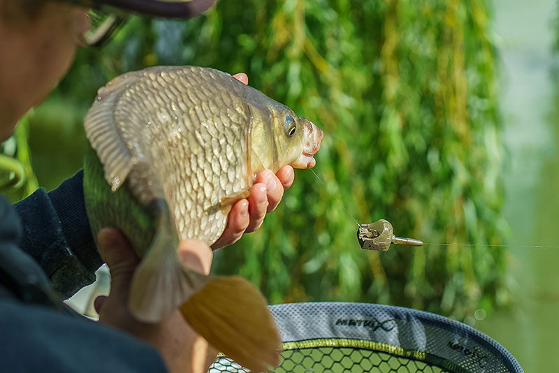 Interchangeable Pellet Feeders