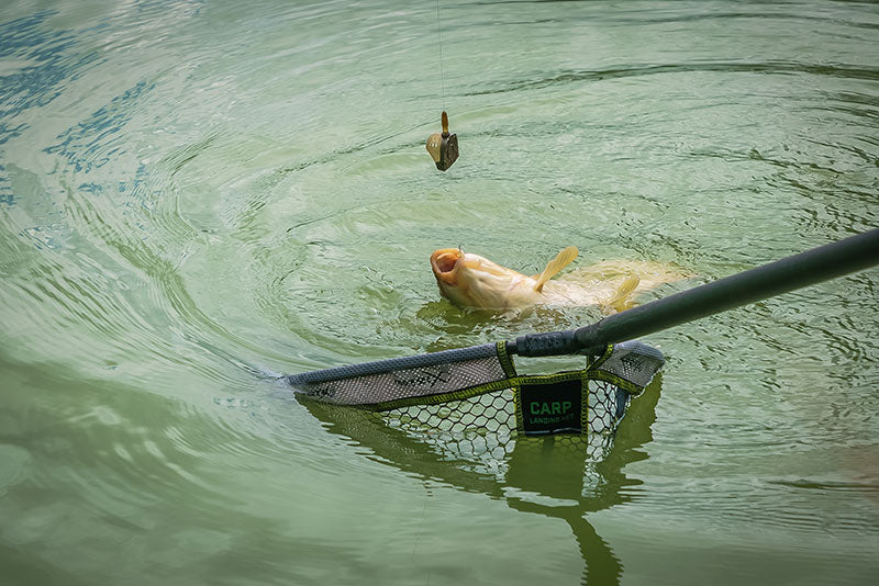 Interchangeable Pellet Feeders