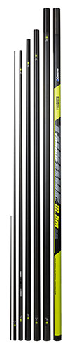 Torque Euro Carp