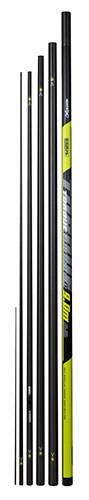 Torque Euro Carp