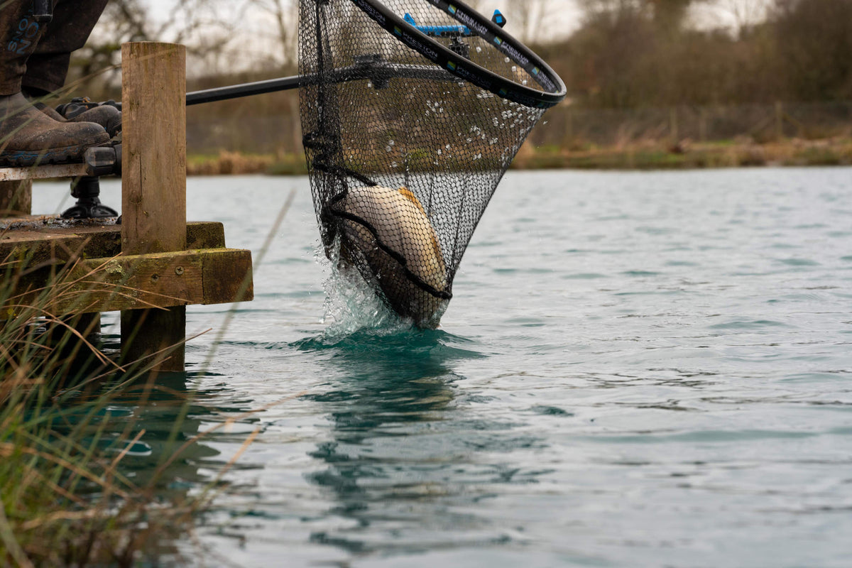 Carp XS Landing Nets