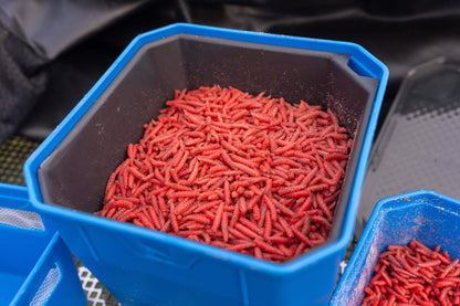 4 Pint Bait Tub