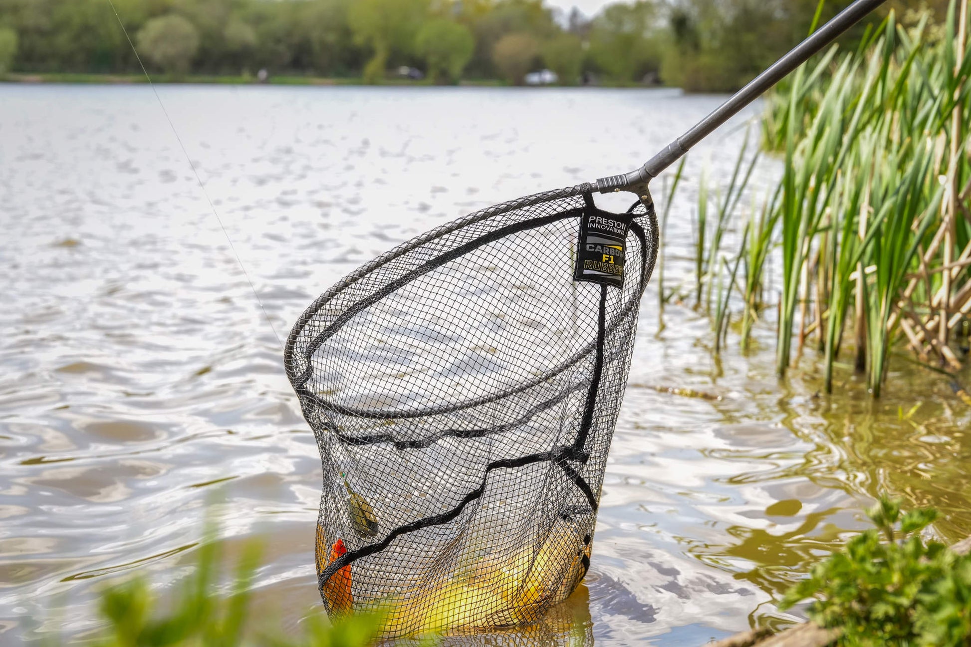 Carbon F1 Latex Landing Net