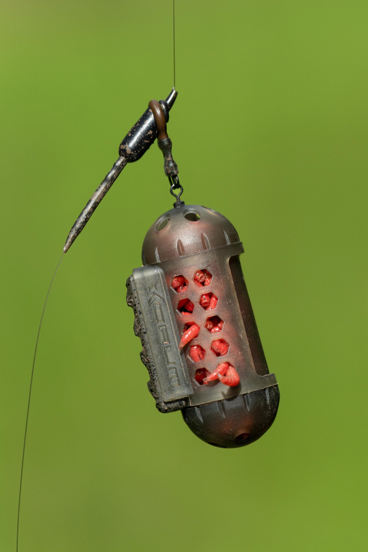 Window Maggot Feeder
