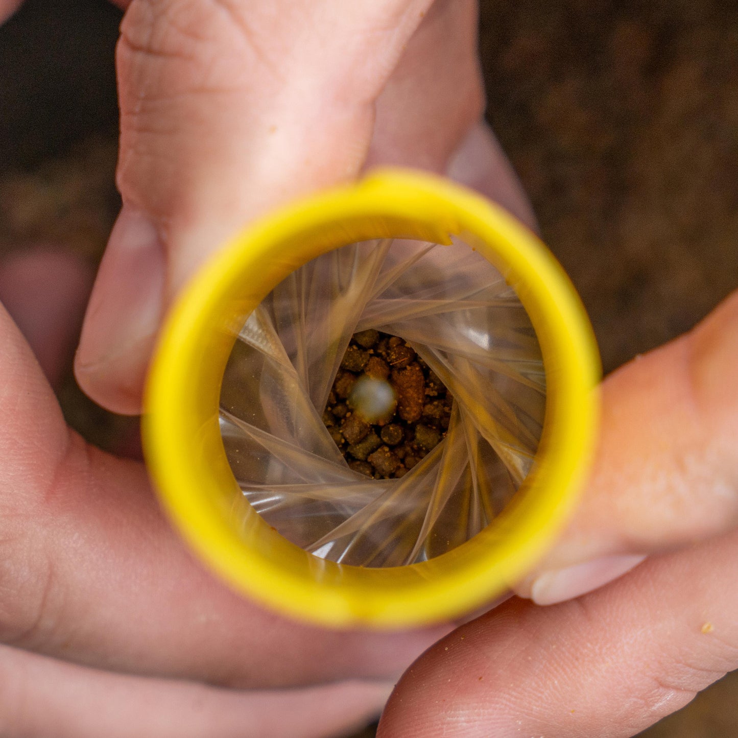Transfer Solid Bag System