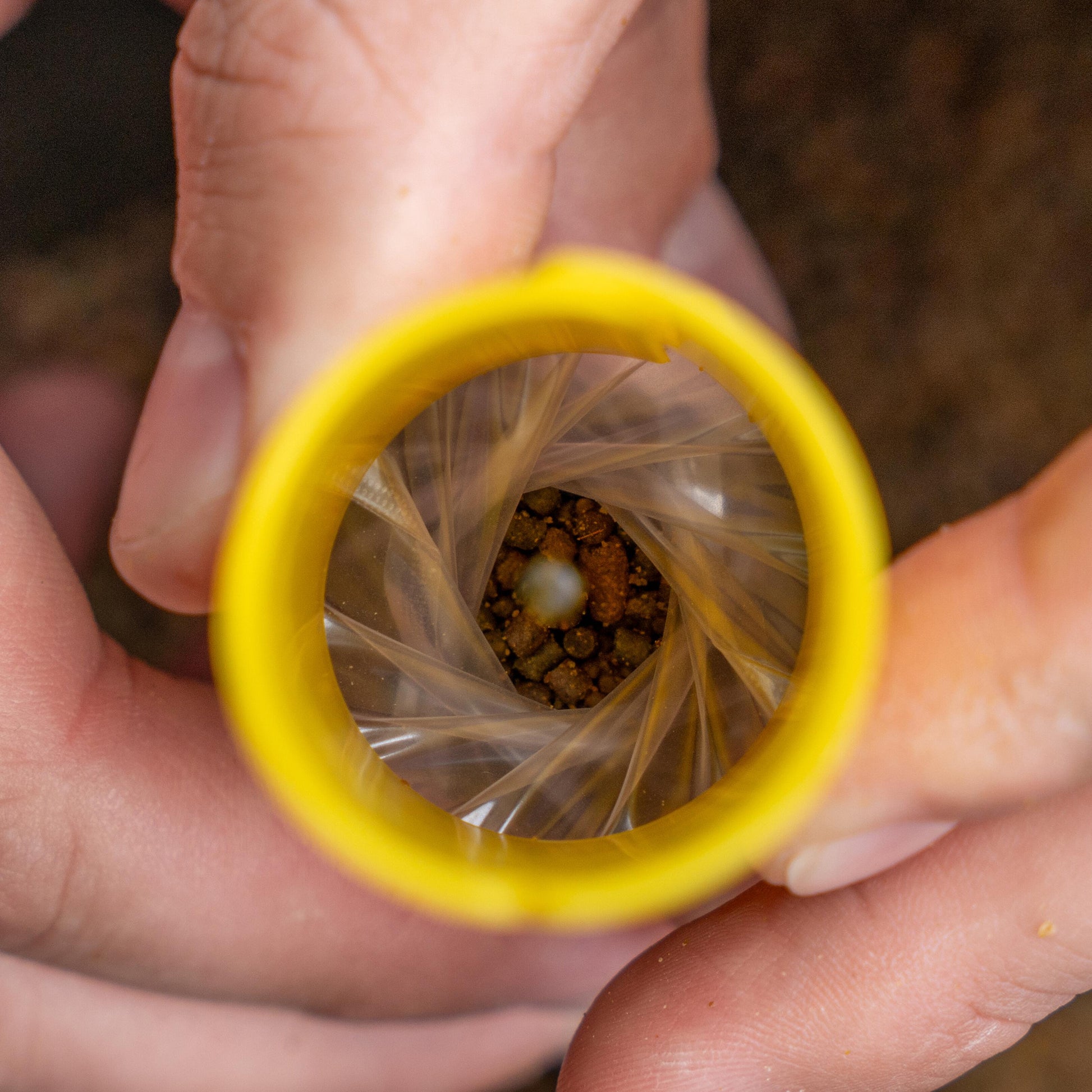 Transfer Solid Bag System