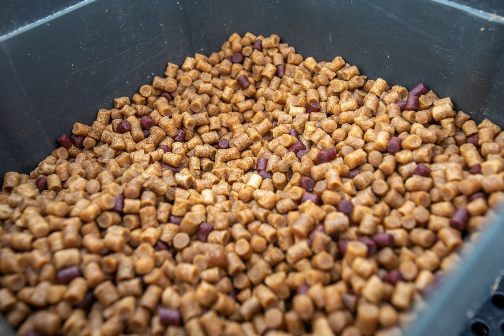 Hard Pellets