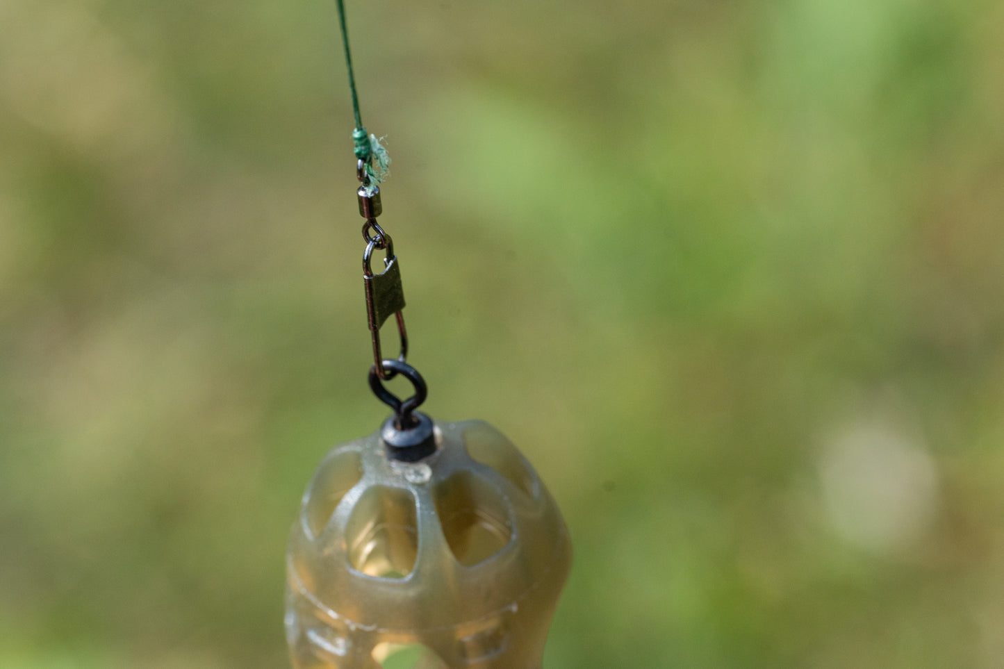 Feeder Links Soft