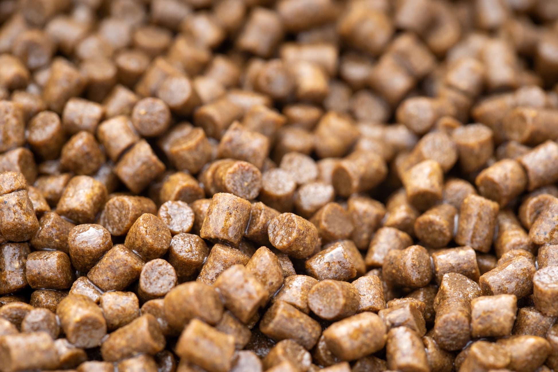 Clear Pellet Oil