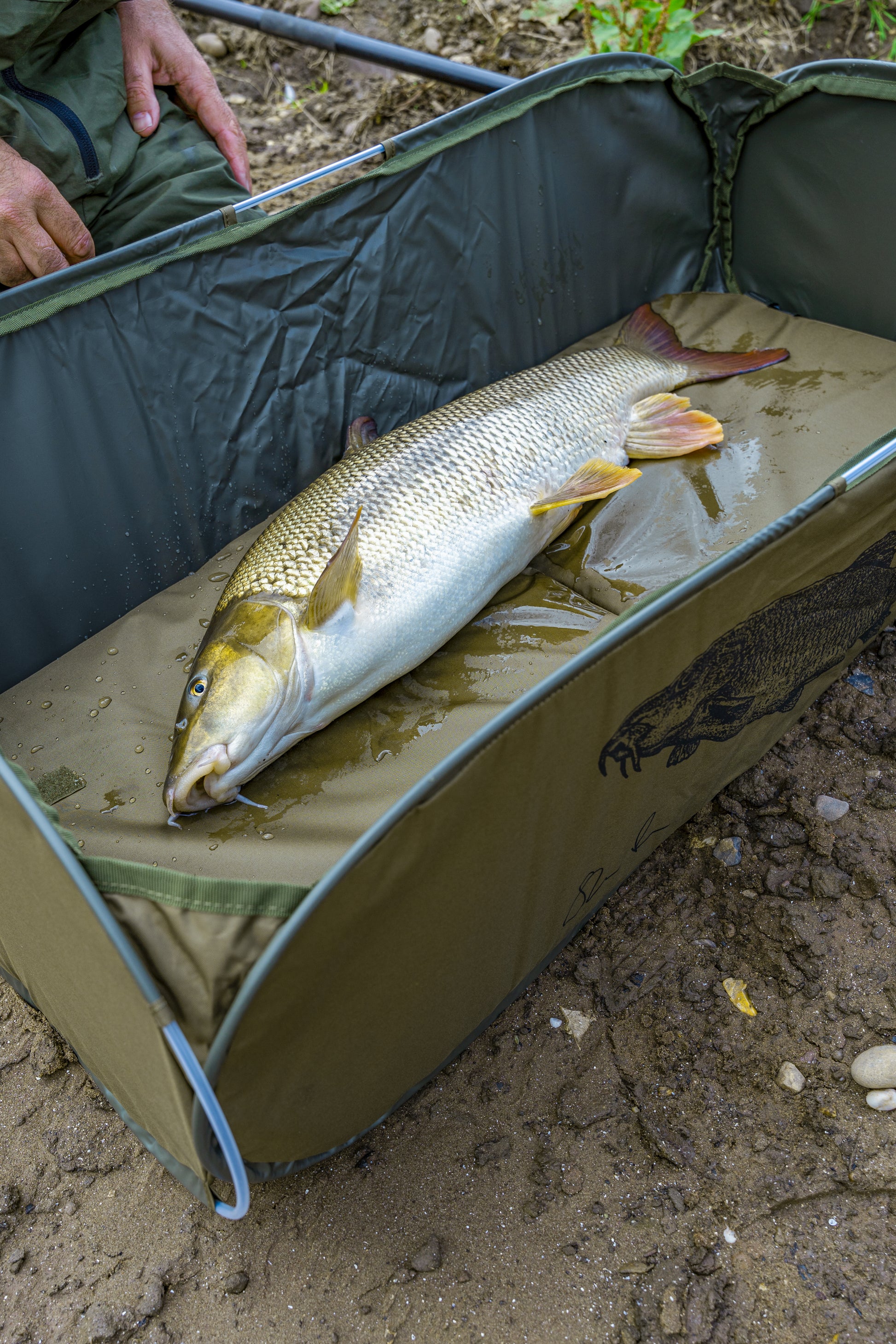 Classic Barbel - Fast Mat