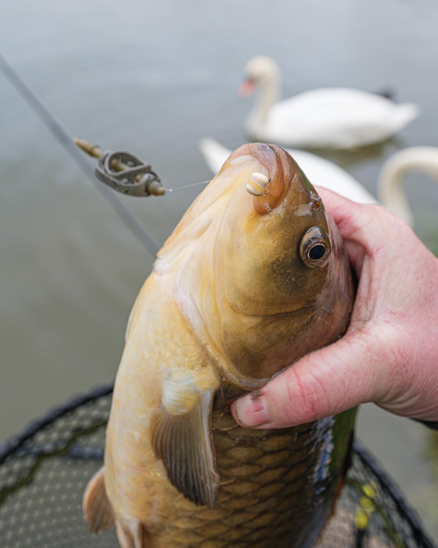 Method Feeder 20g XS