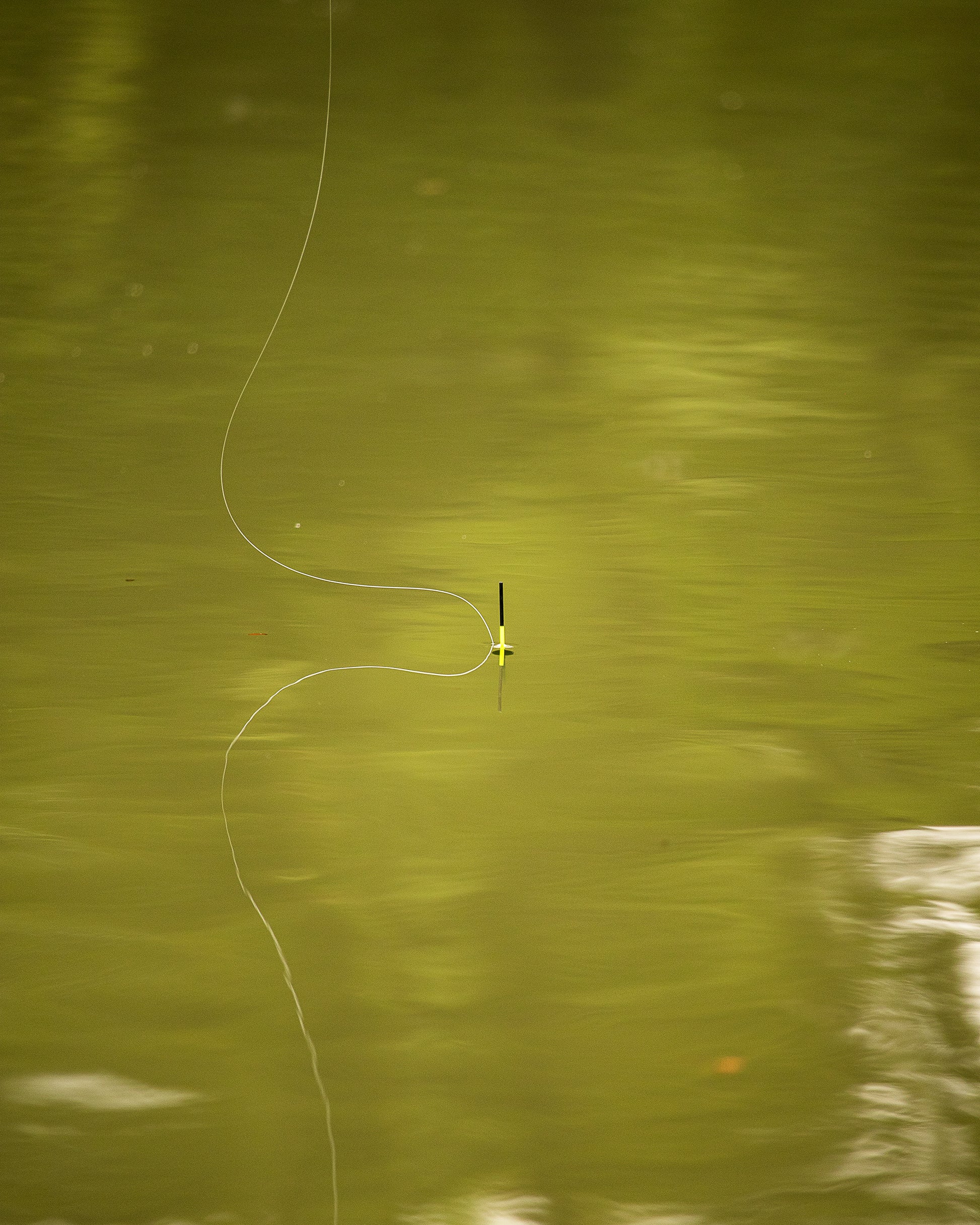 Breeze Pole Float 