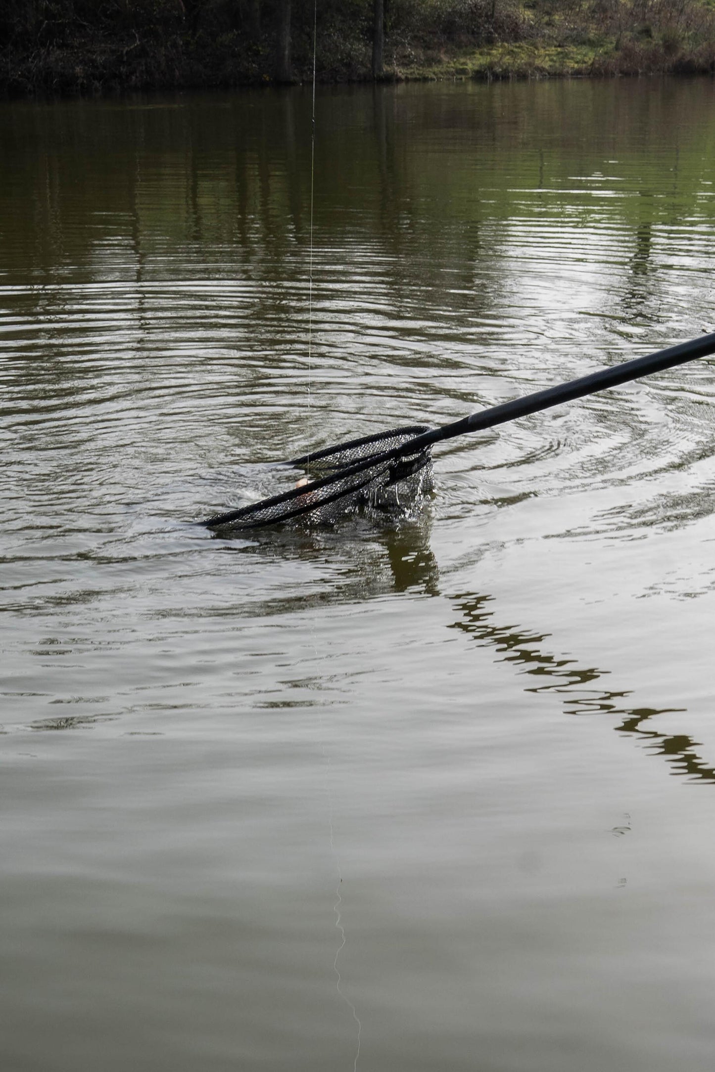 Carbon Free Flow Landing Net
