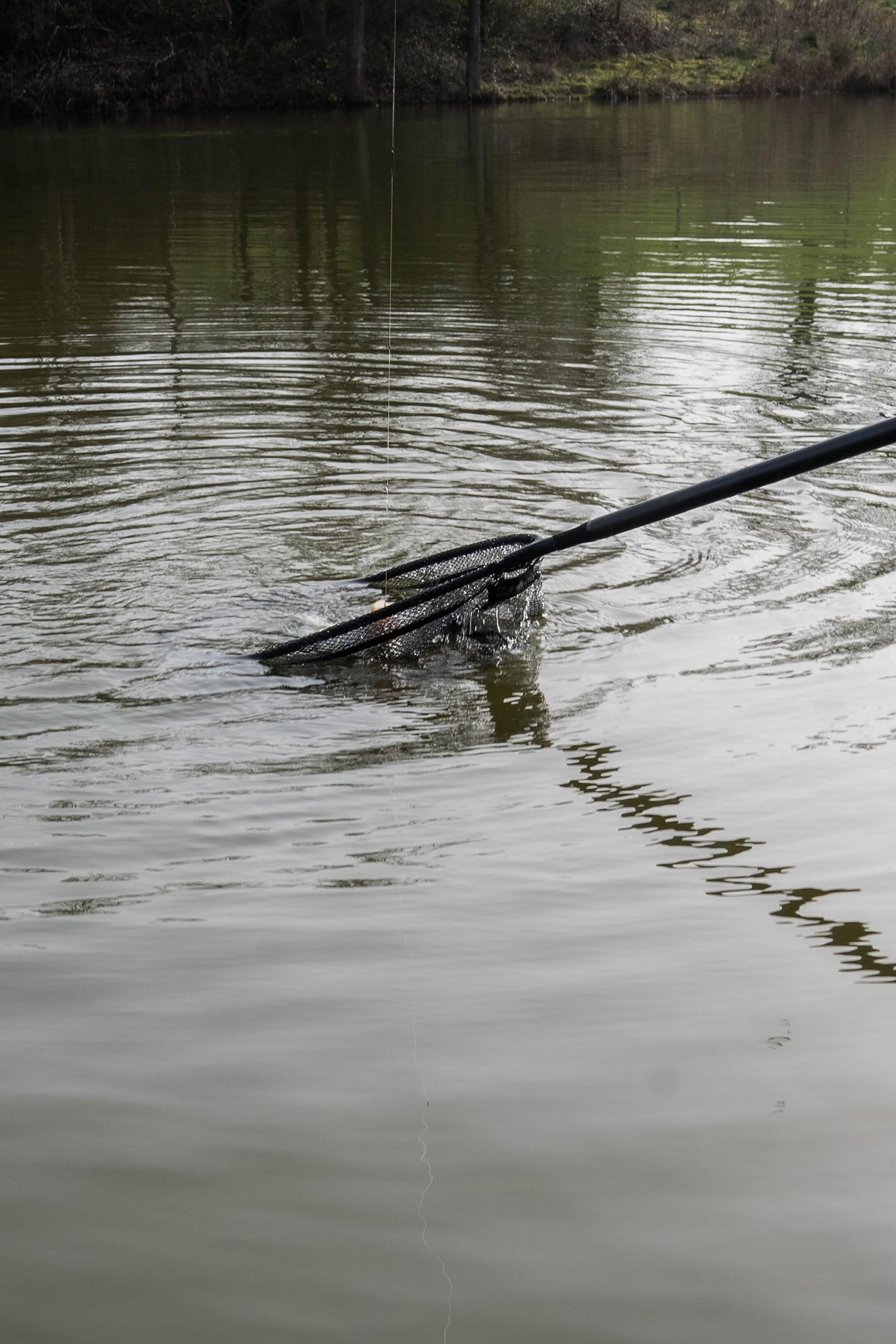 Carbon Free Flow Landing Net