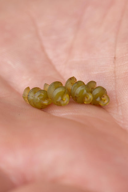 Smokescreen Meat Screws