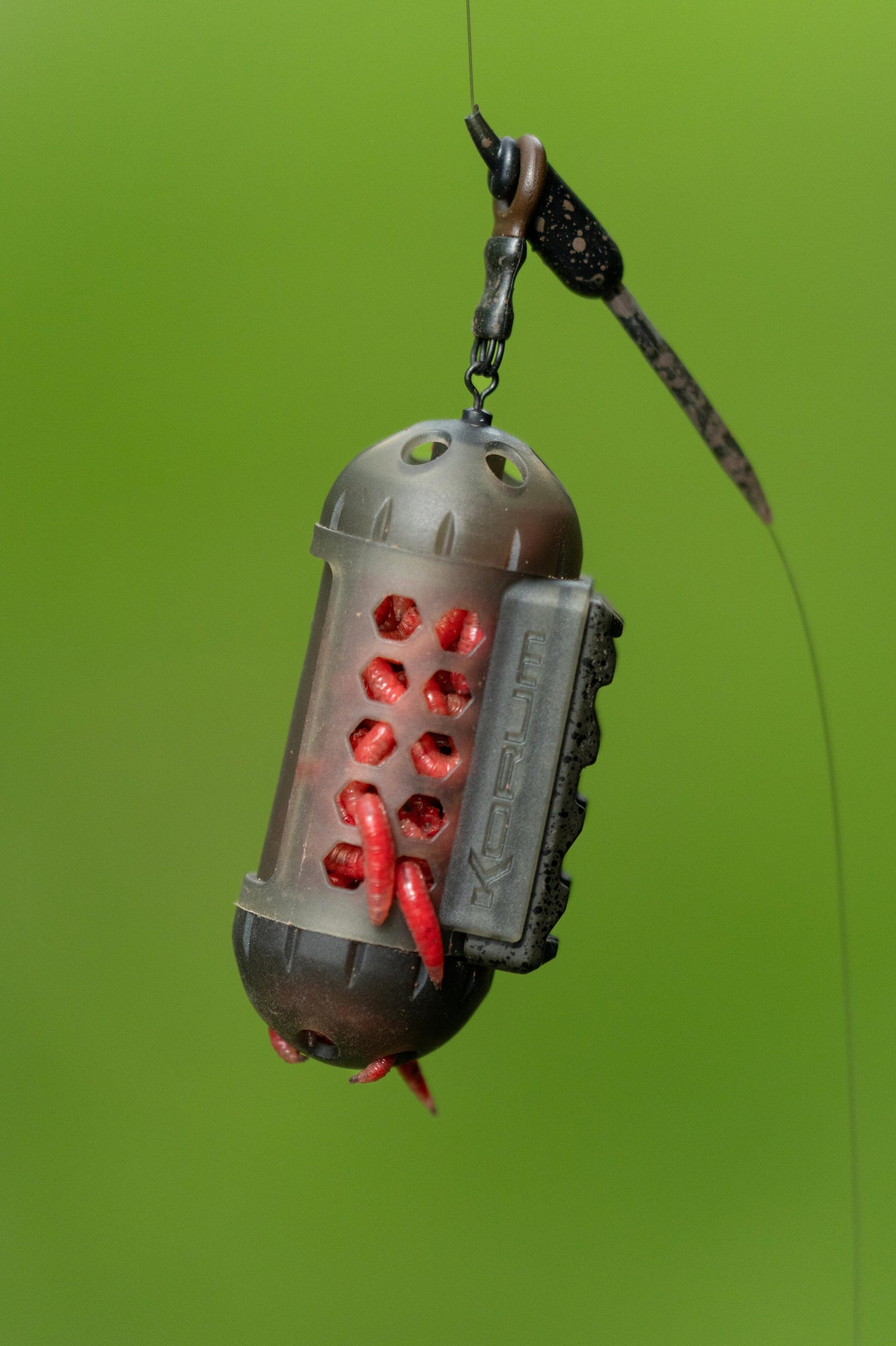 Window Maggot Feeder