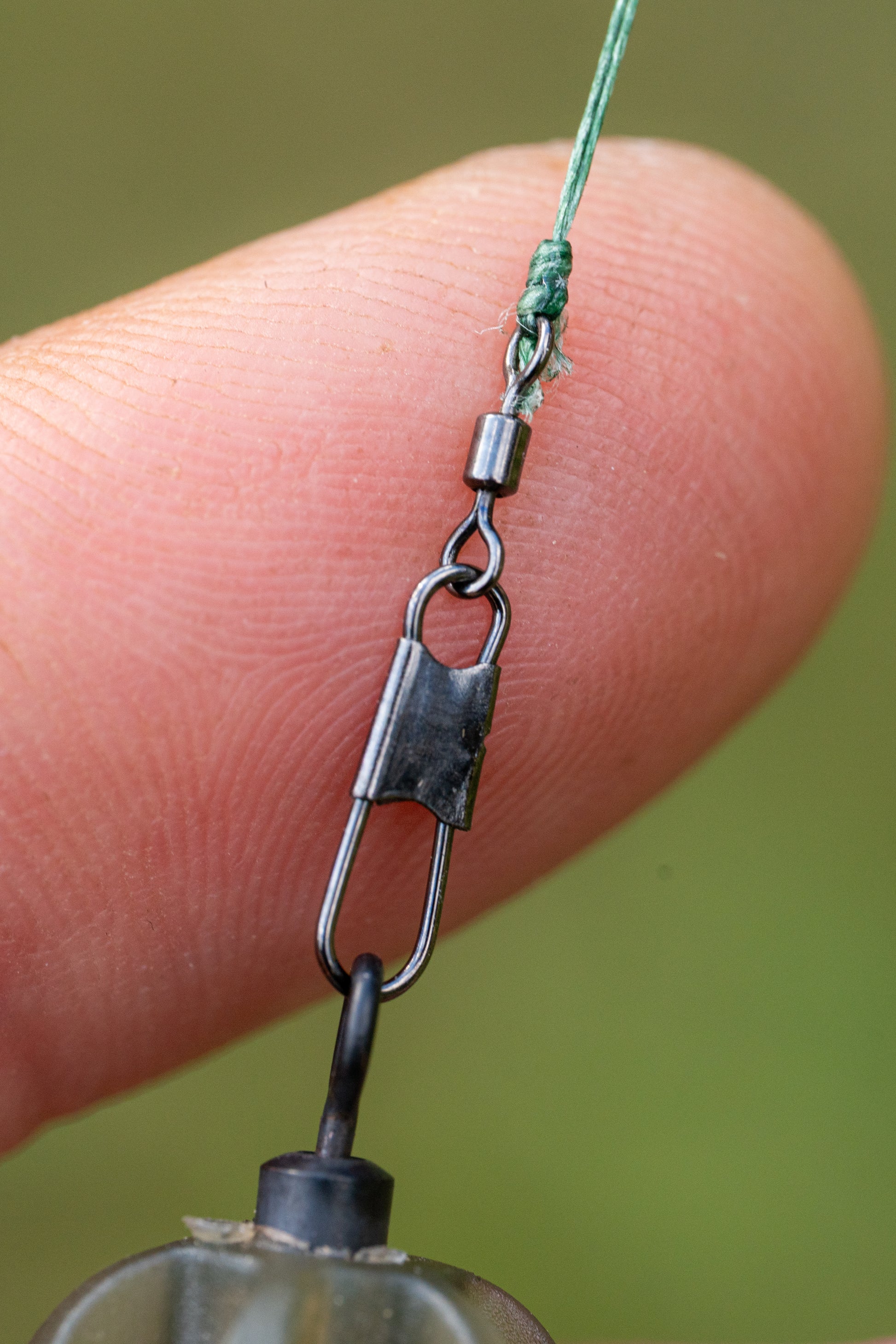 Feeder Links Soft