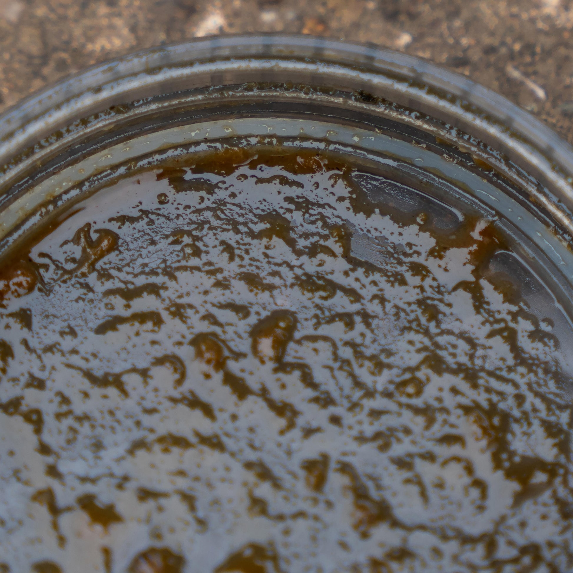 Large Hookbait Pots 