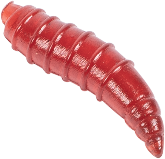 Floating Grubs - Imitation Maggots