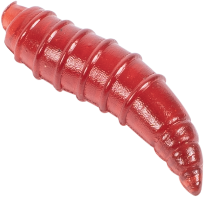 Floating Grubs - Imitation Maggots