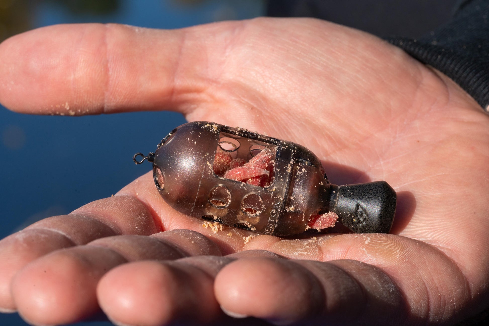 Carp Maggot Feeder