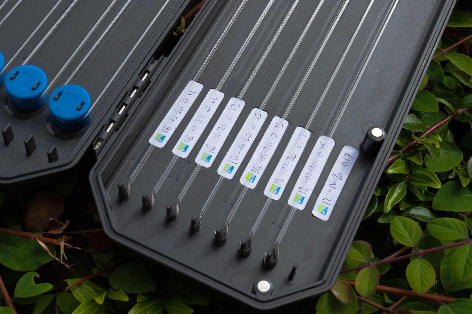 Absolute Hooklength Box