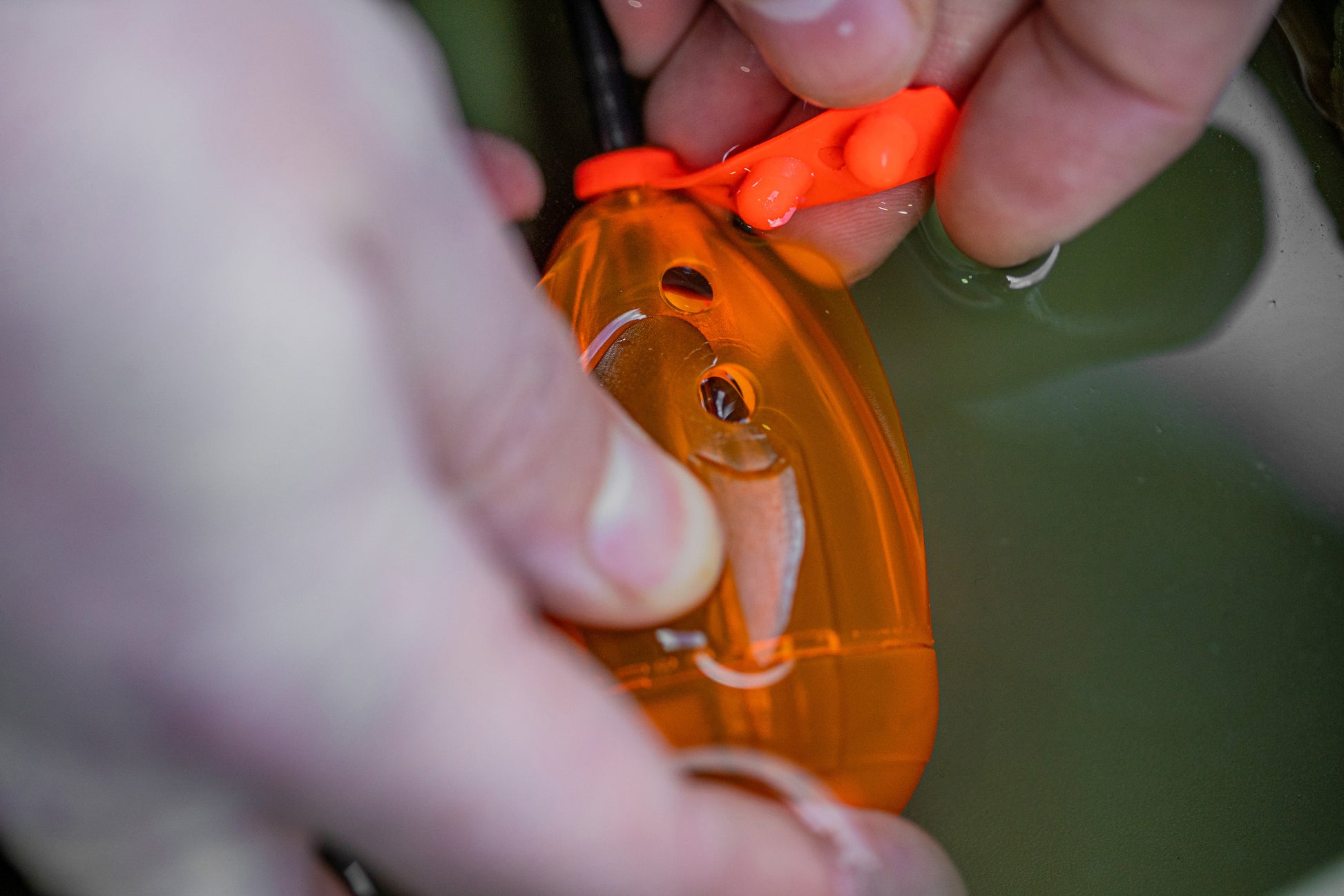Bait Gripper Leads
