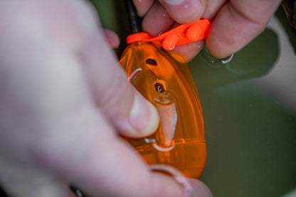 Bait Gripper Leads