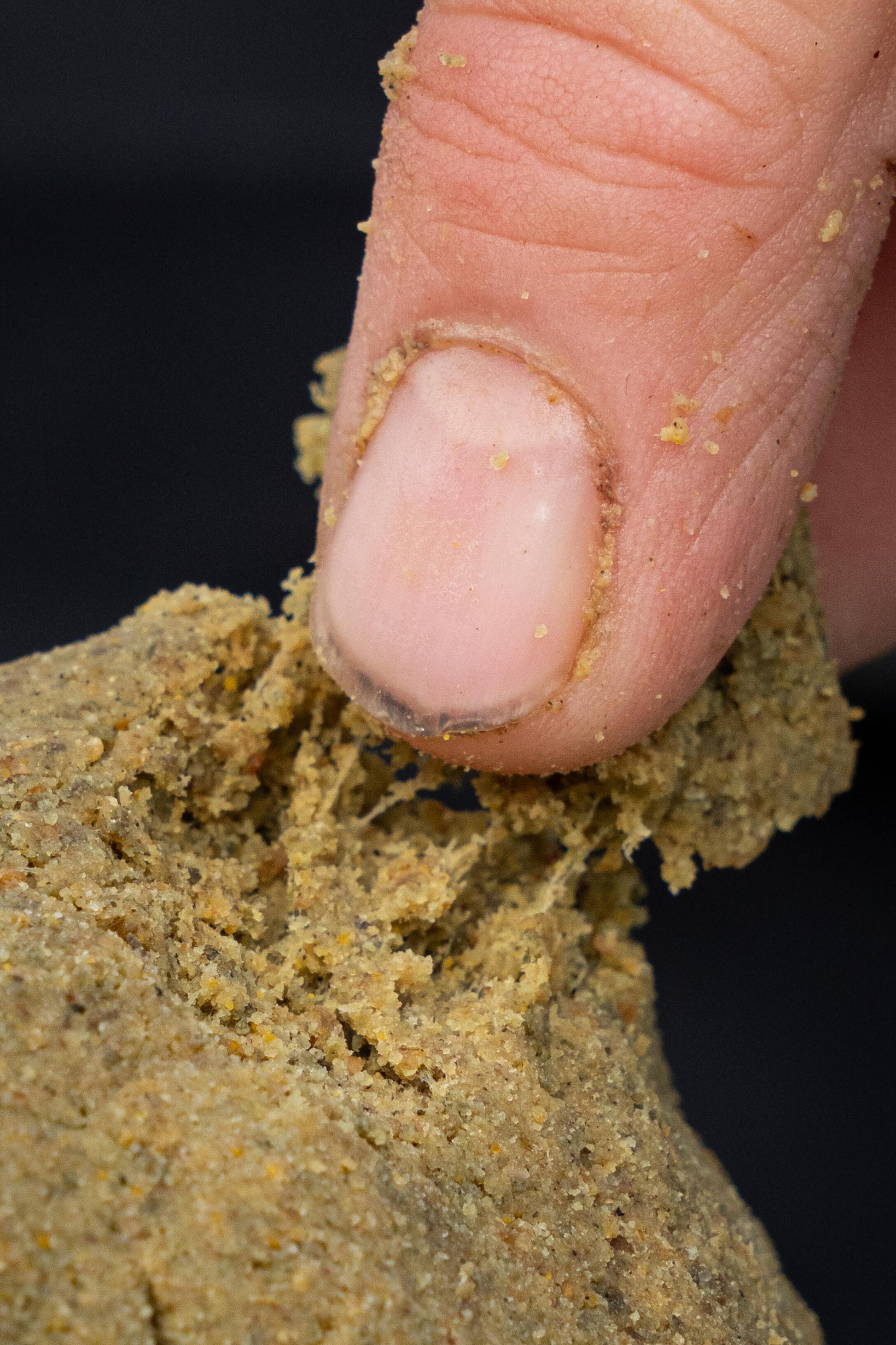 Stiki Paste