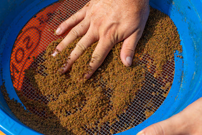 Chunky Fish